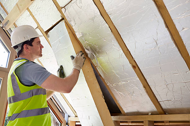 Best DIY Insulation Kits and Guidance in Tomah, WI